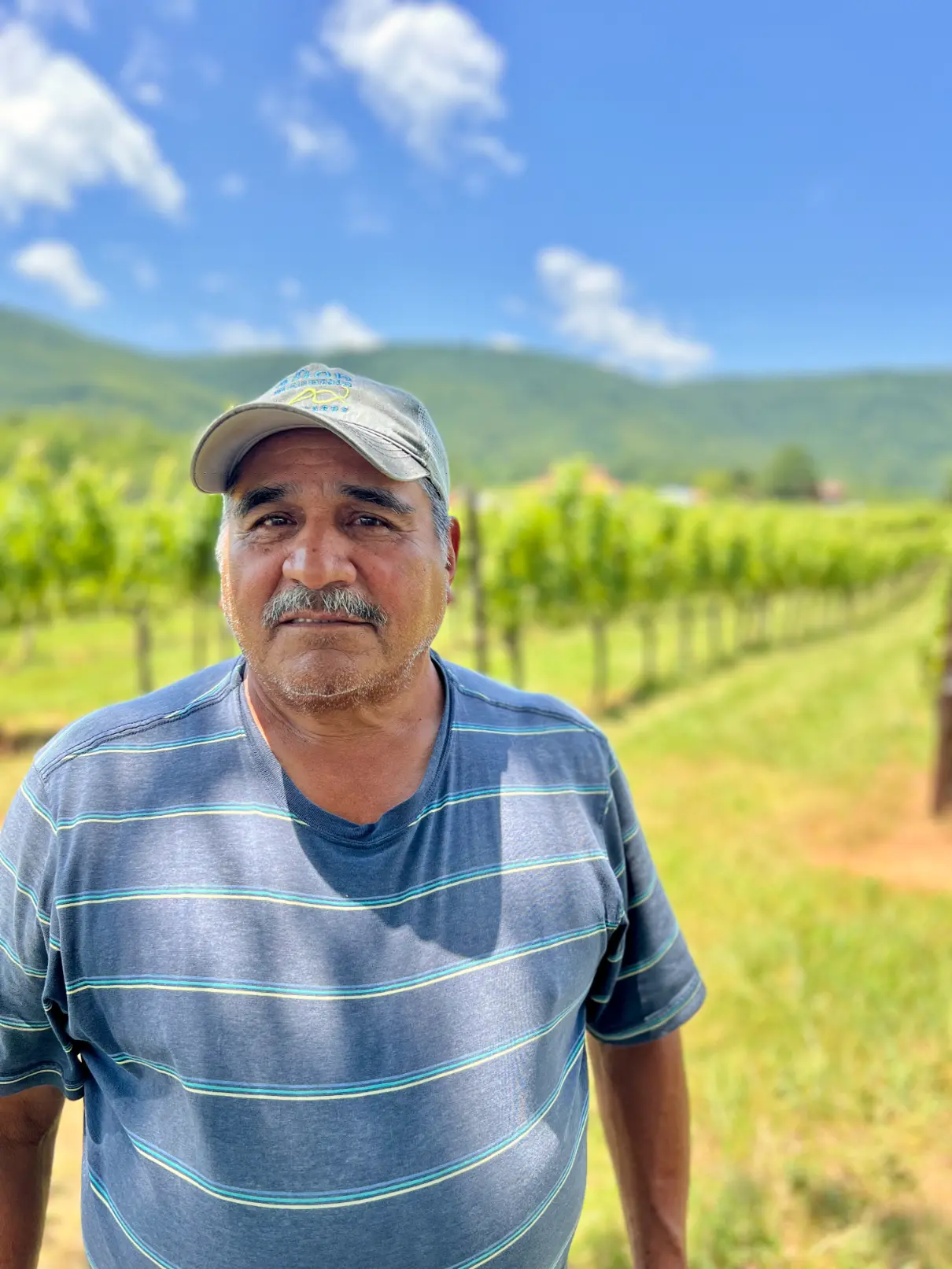 Baldo profile photo.