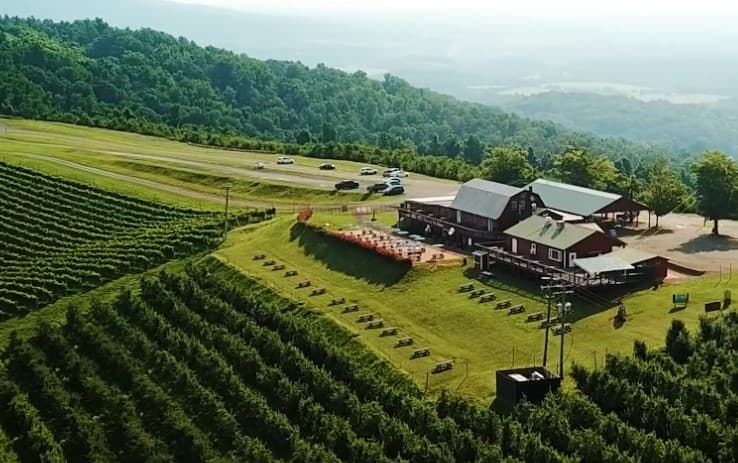 Vineyard top view.