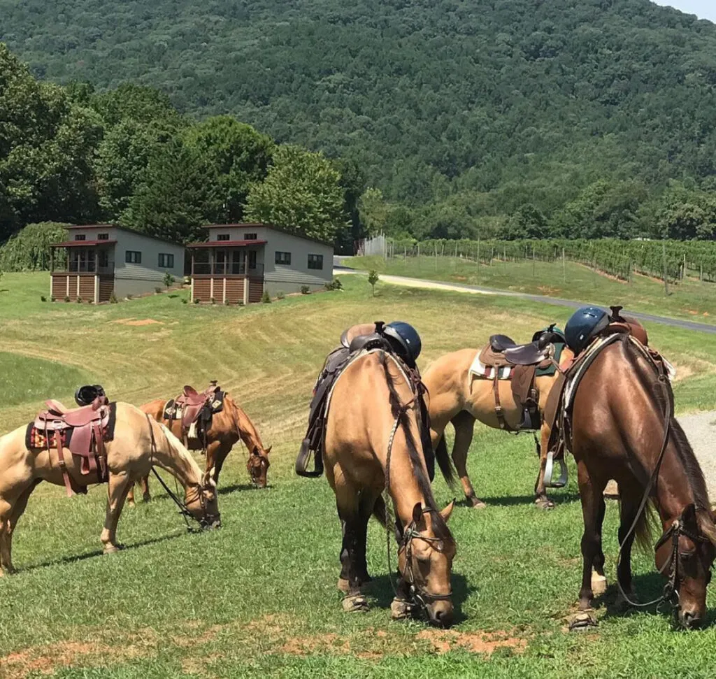Sip & Saddle.