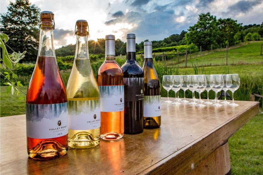 Wines over the table with a scenery.