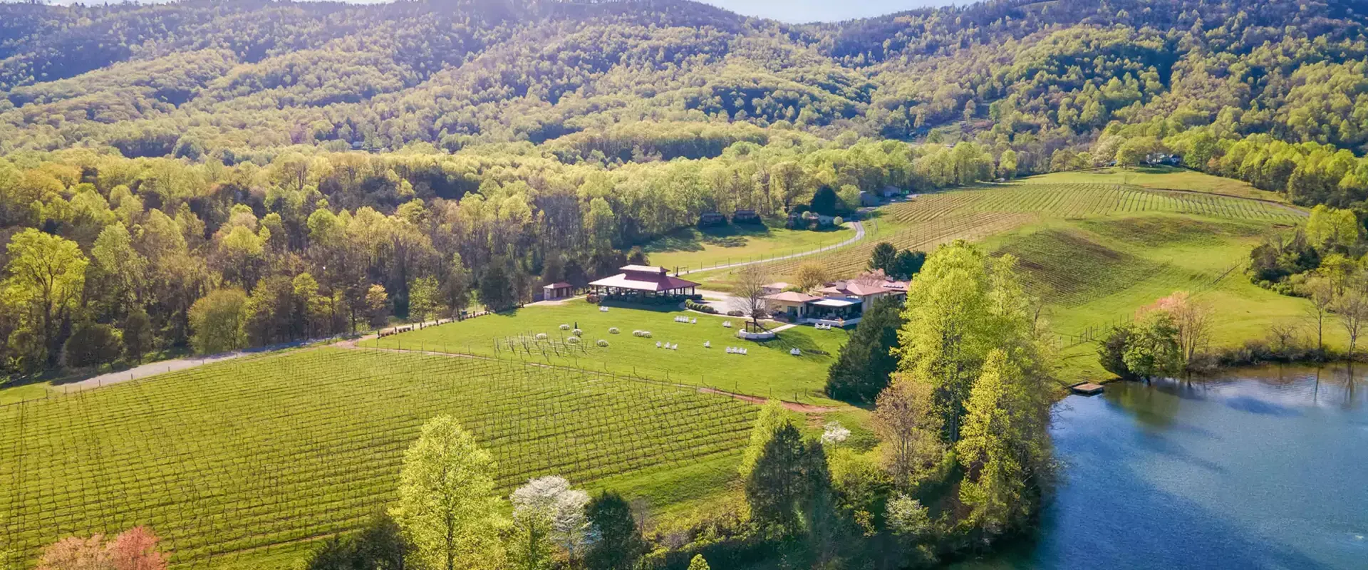 Aerial view of Afton Vineyard.