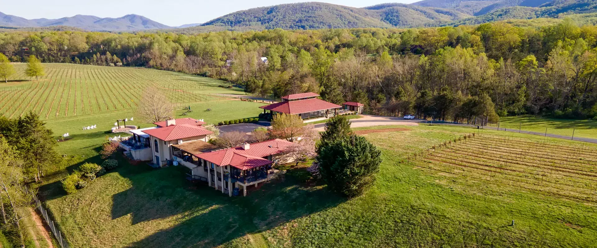 Aerial view of Afton Vineyard.