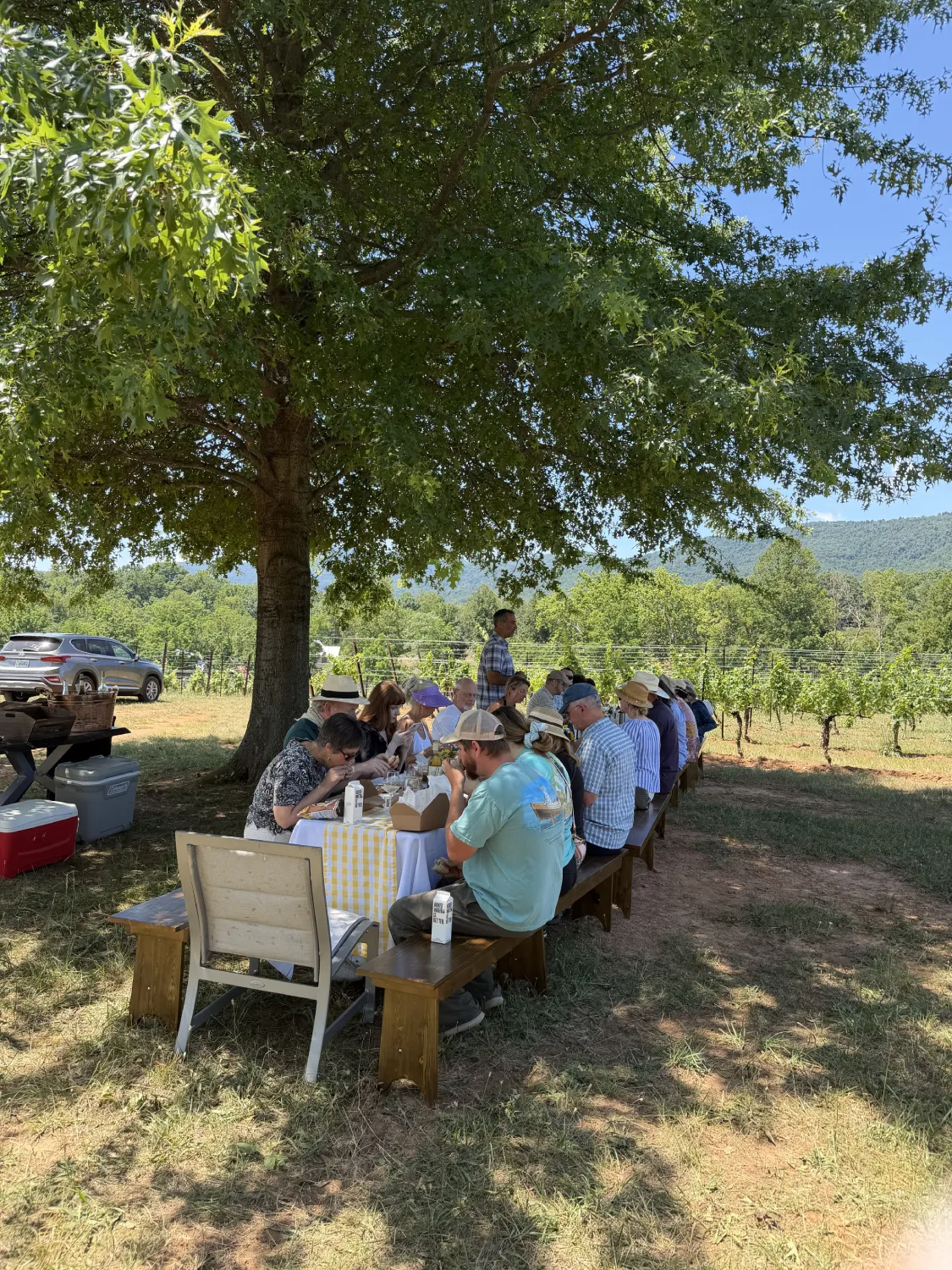 Guests gathered around a long picnic table beneath a large shade tree in the vineyard, enjoying an outdoor farm-to-table dining experience with mountain views.